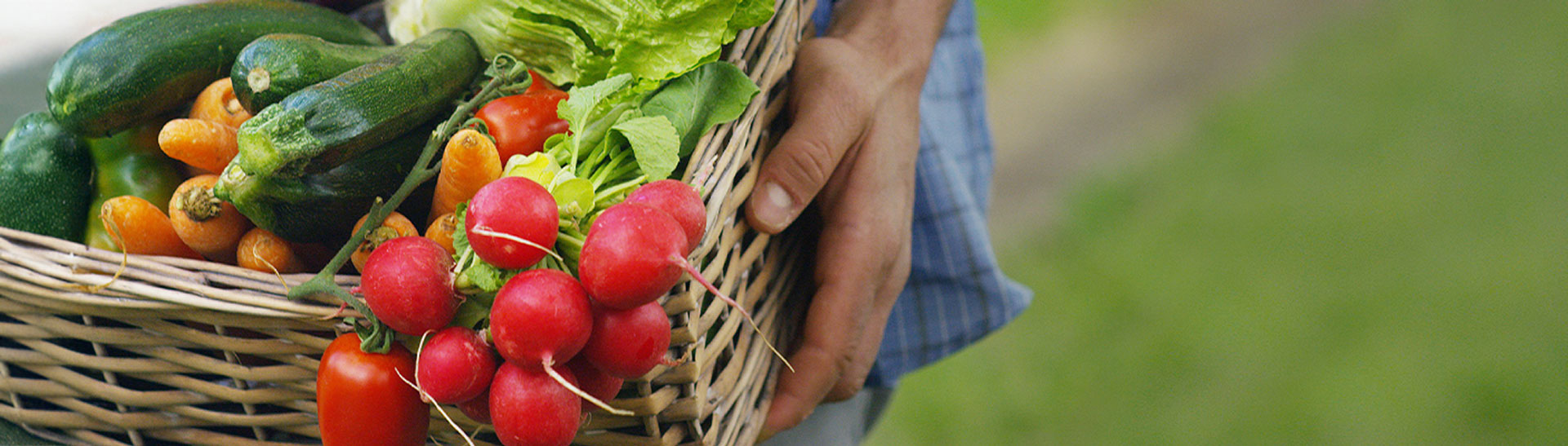 image-trothanh-ncux-banner