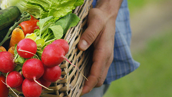 image-trothanh-ncux-m-banner