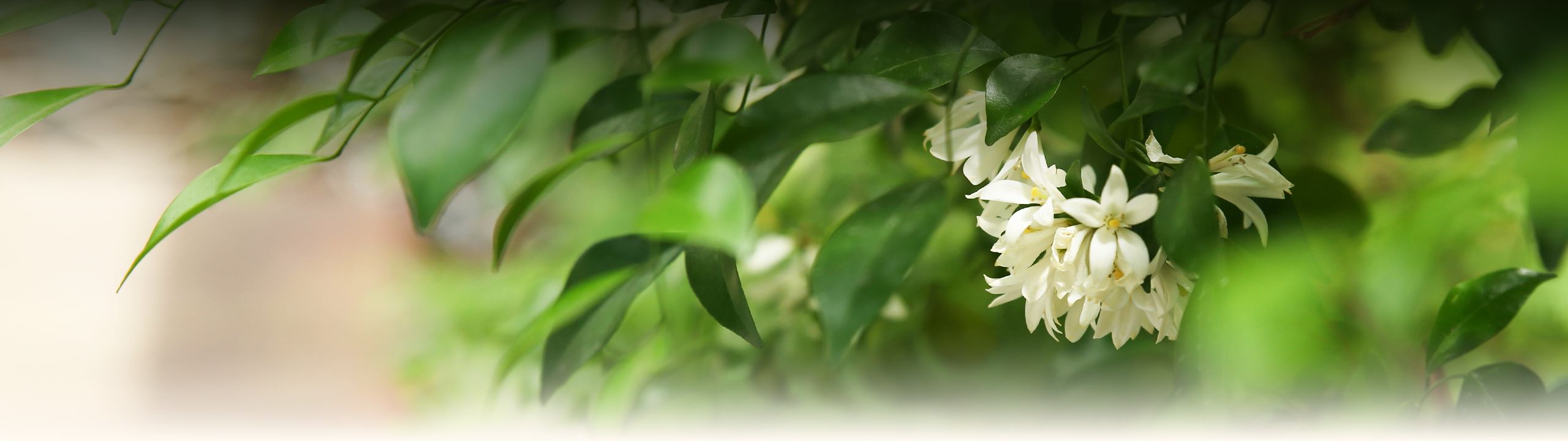 banner-bai-goc-bao-chi