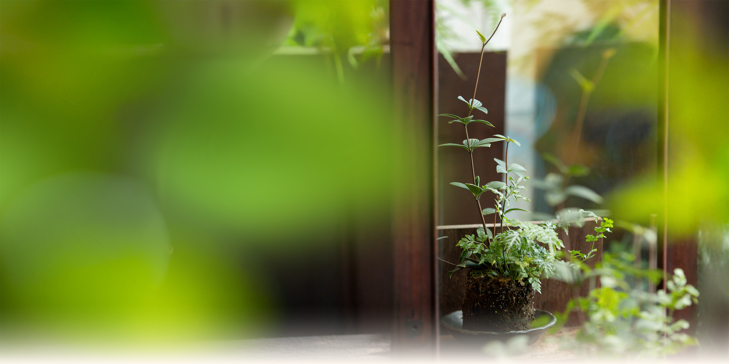 Banner Đưa Xanh Về Cùng