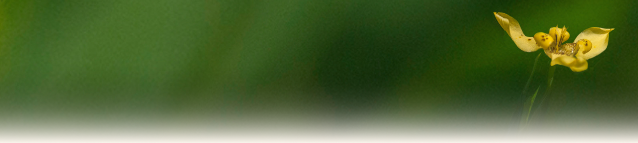 banner-san-pham-dich-vu
